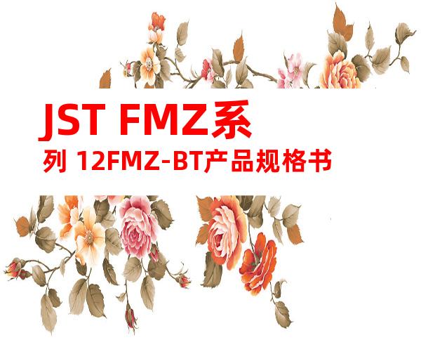 JST FMZ系列 12FMZ-BT产品规格书